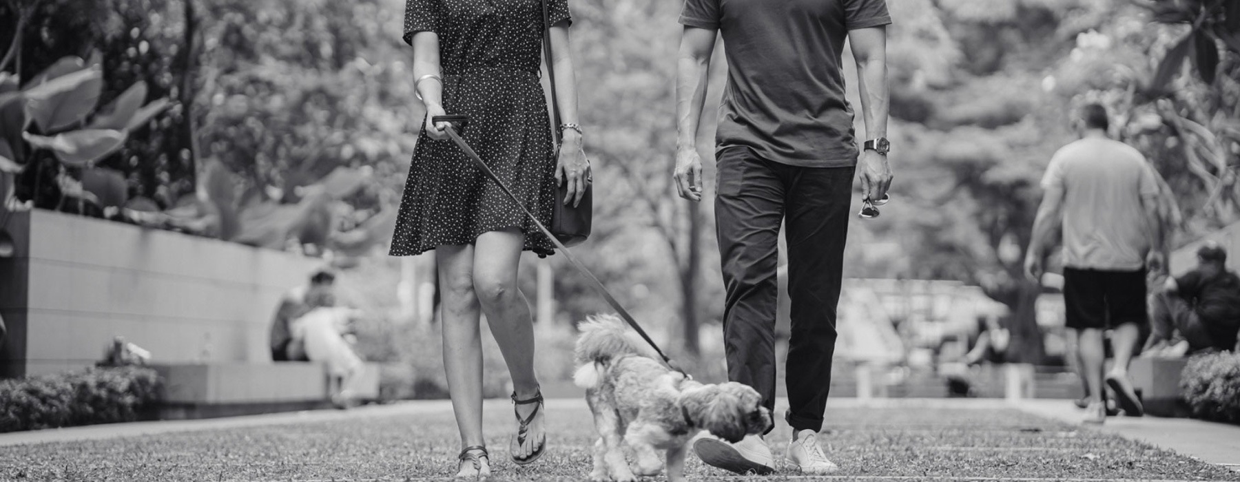 lifestyle image of two people walking their pet outside
